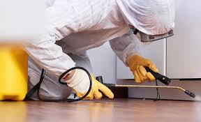 Best Pest Prevention Services  in East Mountain, TX